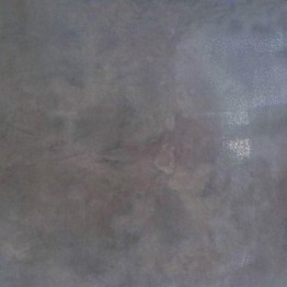 Gạch Trường Thịnh COOLSTONE C8218P